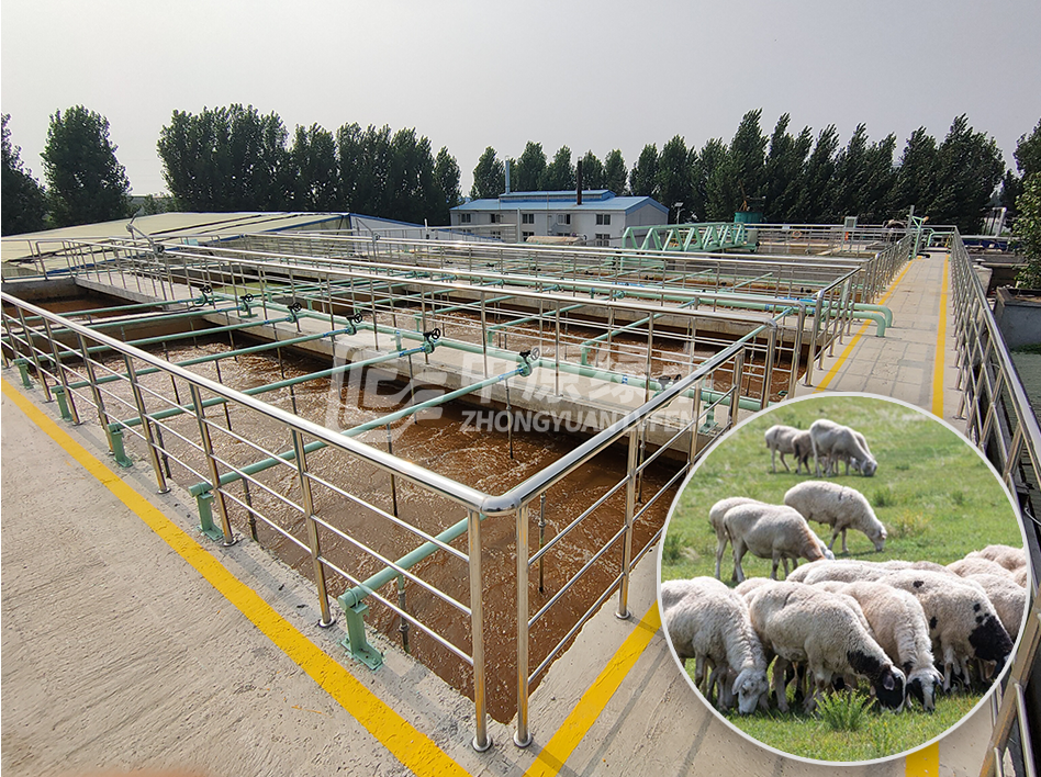 羊屠宰廢水處理工程